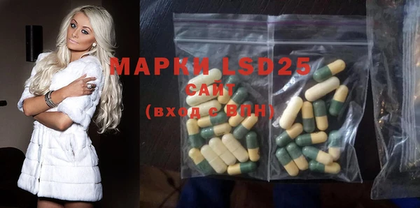 прущие грибы Ельня