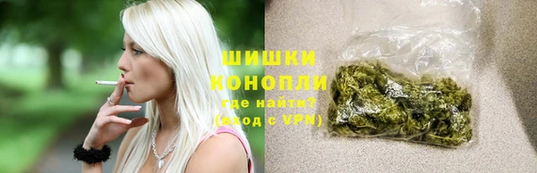 прущие грибы Ельня