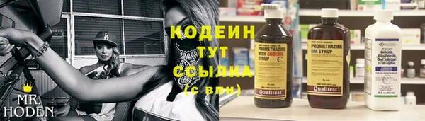 прущие грибы Ельня