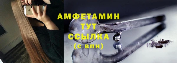 прущие грибы Ельня