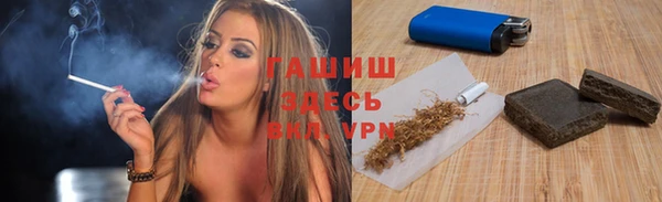 прущие грибы Ельня