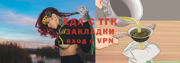 прущие грибы Ельня