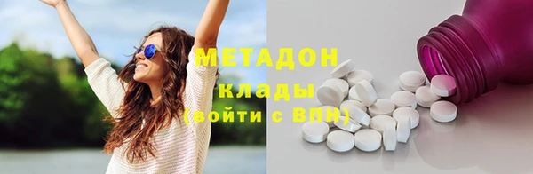 прущие грибы Ельня