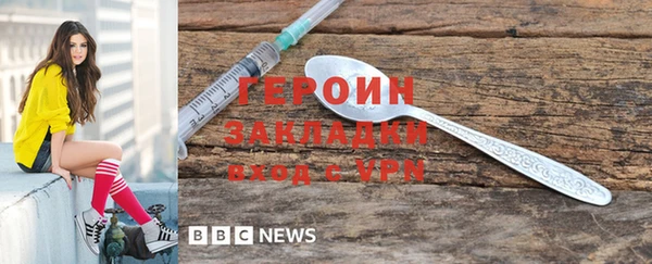 прущие грибы Ельня