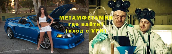 прущие грибы Ельня