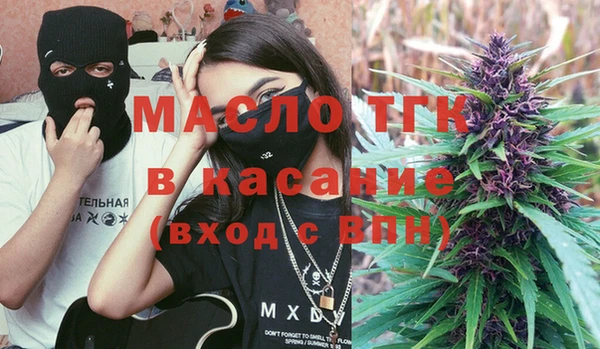 прущие грибы Ельня