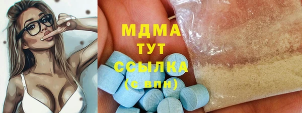прущие грибы Ельня