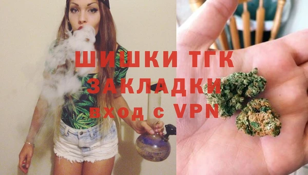 прущие грибы Ельня