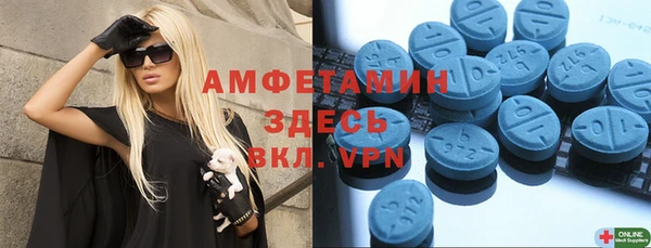 прущие грибы Ельня